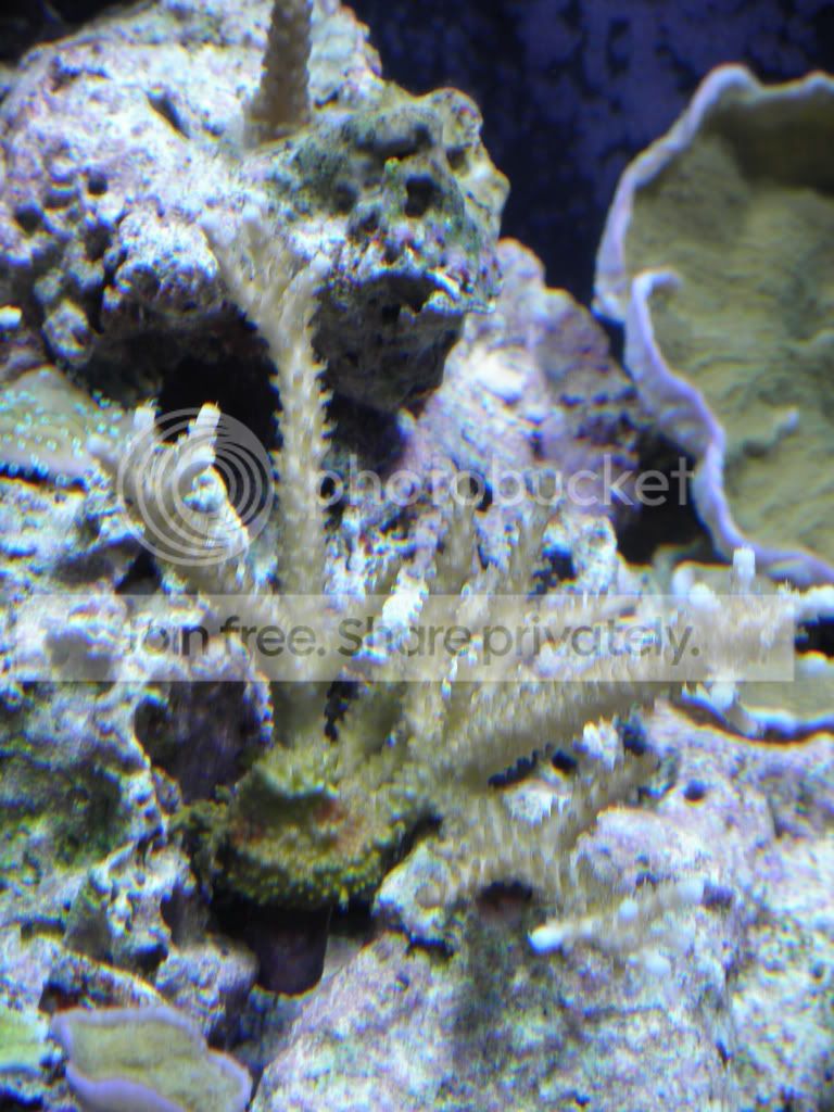 picdec31-jan25138.jpg