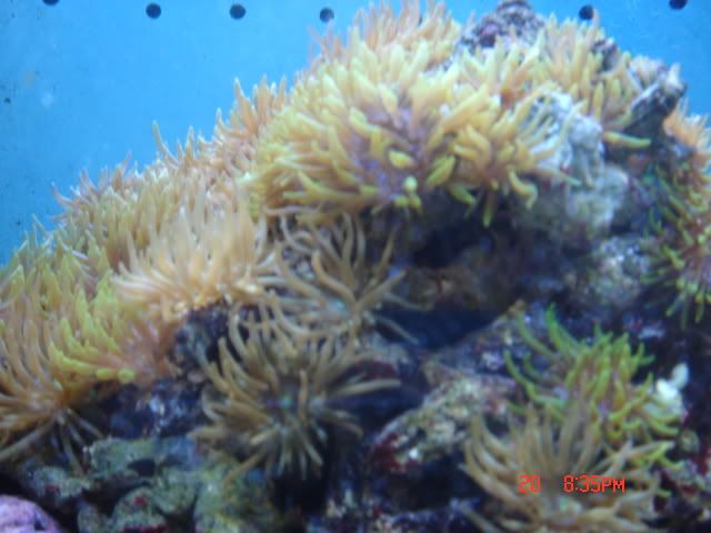 DSC01382.jpg
