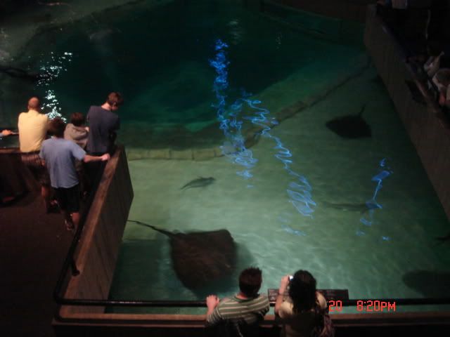 DSC01333.jpg