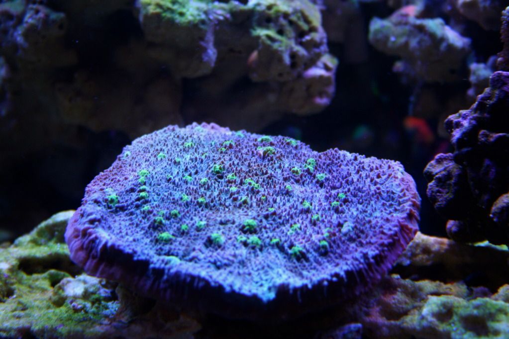 IMG_0166.jpg