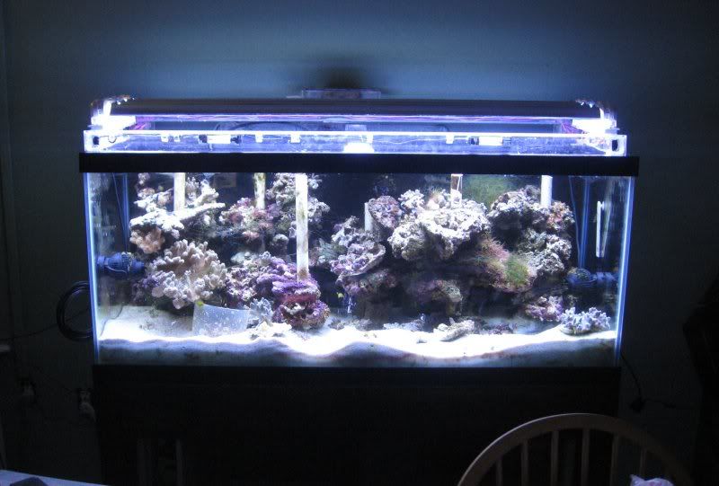FTS-summer2009.jpg