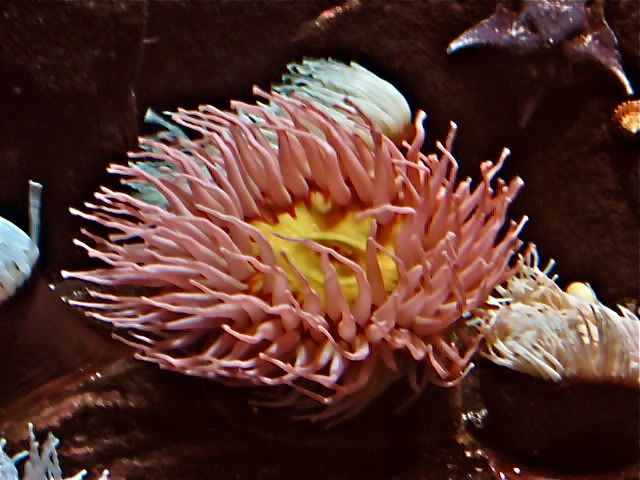 IMG_0377.jpg