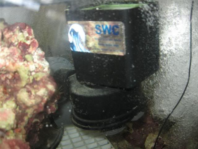MSX300010Medium.jpg