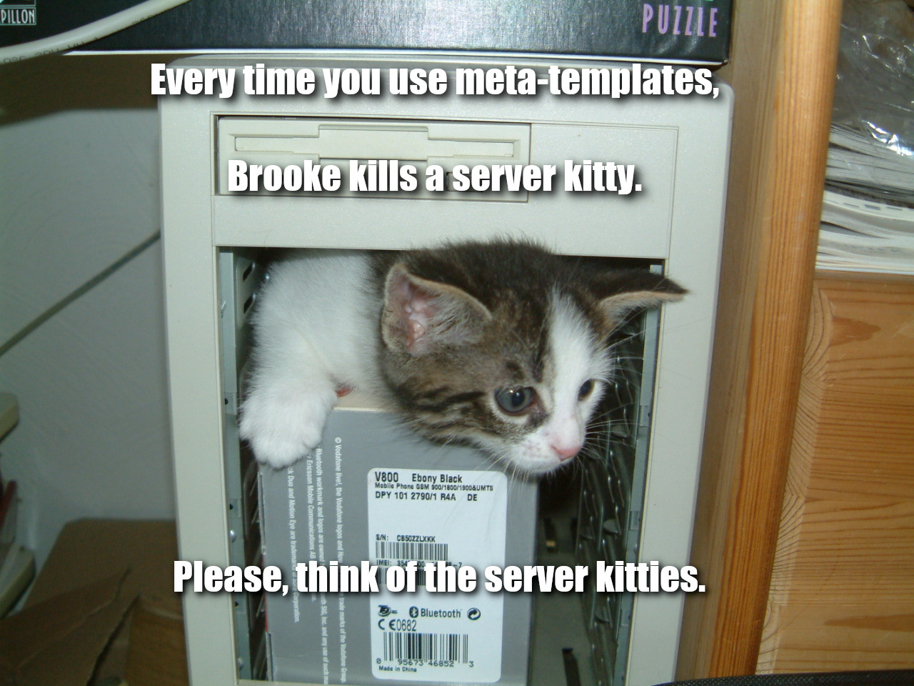 Server-kitty.jpg