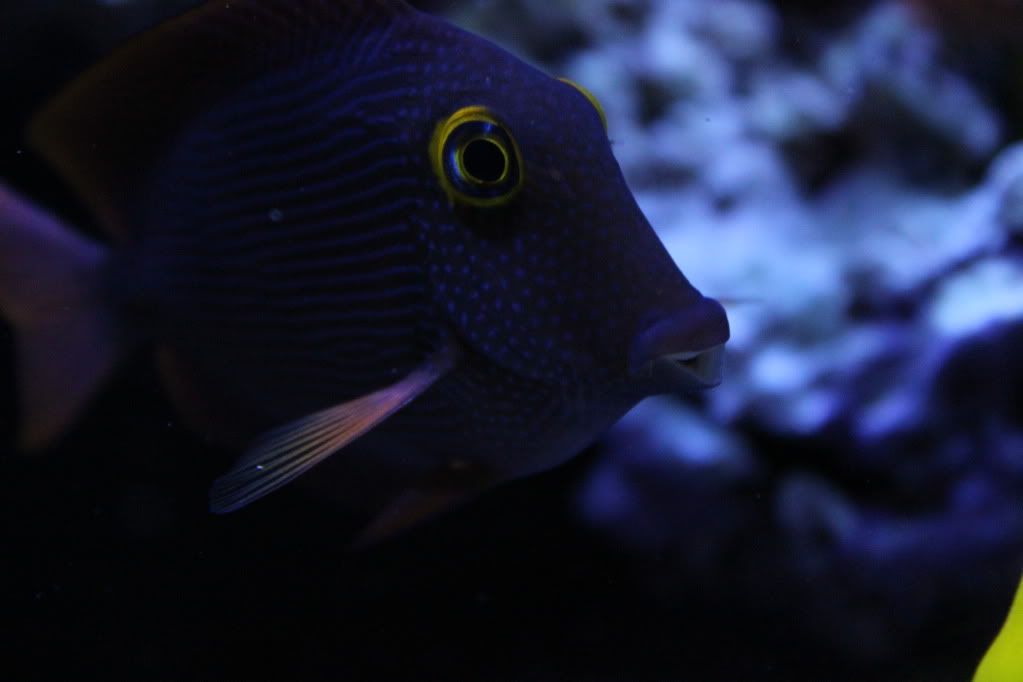 IMG_0605.jpg