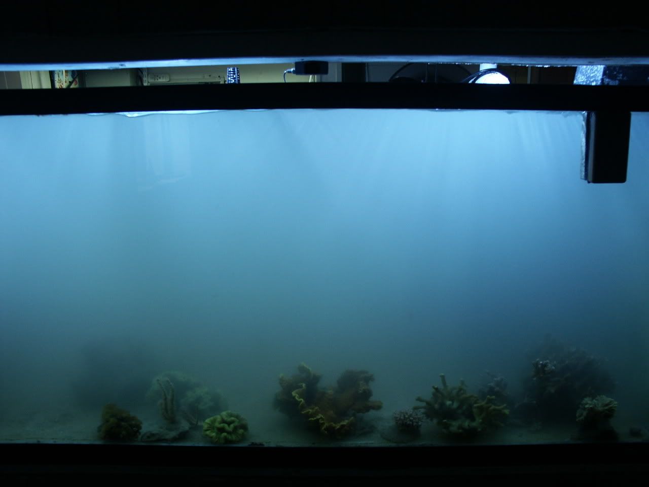 PICT0145.jpg