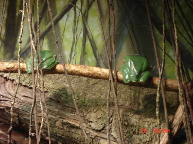 DSC01434.jpg