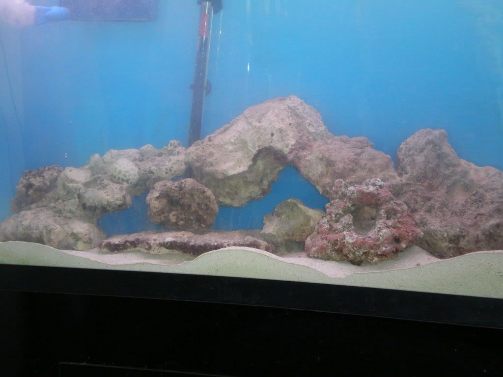 sono1053.jpg