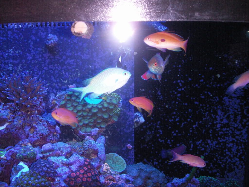PICT1267.jpg