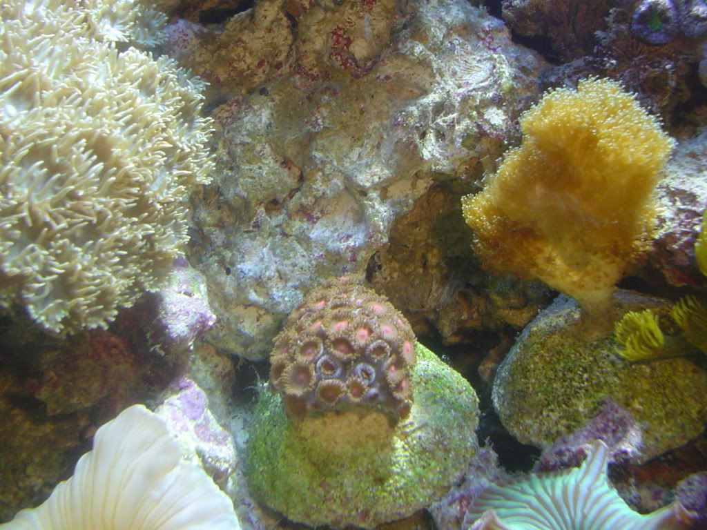 Picture010.jpg