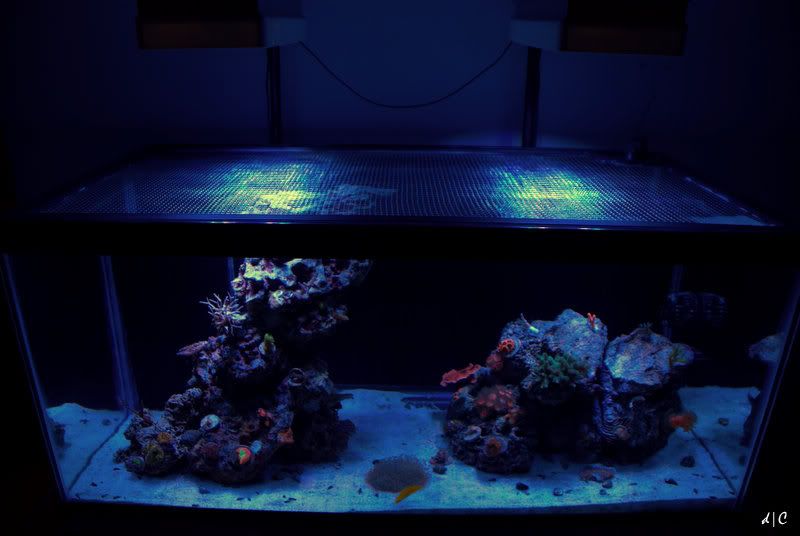 Topdown1.jpg