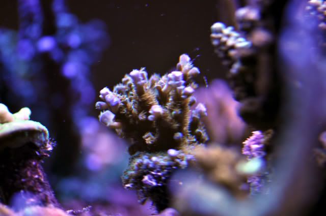 DSC_0609_edited.jpg
