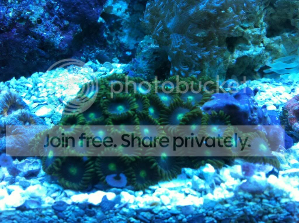 IMG_1838.jpg