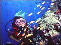 _39524324_scubadiver_ap_203.jpg
