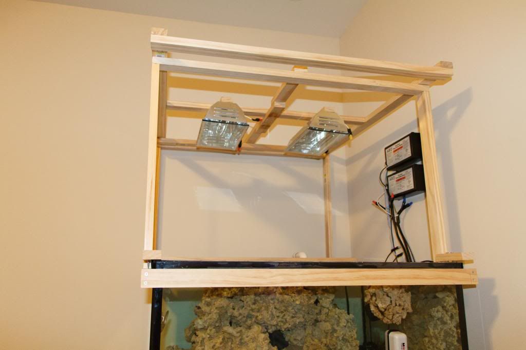 Aquarium-11-1.jpg