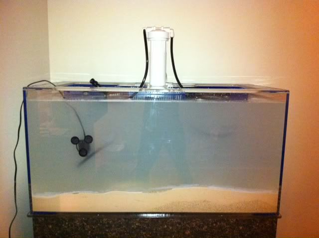 tank111411.jpg