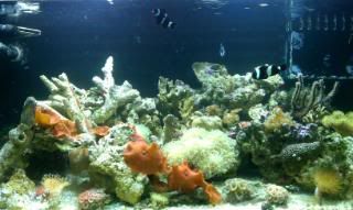 IMAG0195.jpg