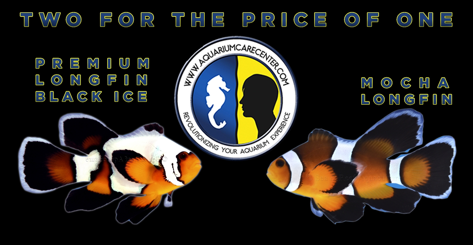 qUckM4P.jpg
