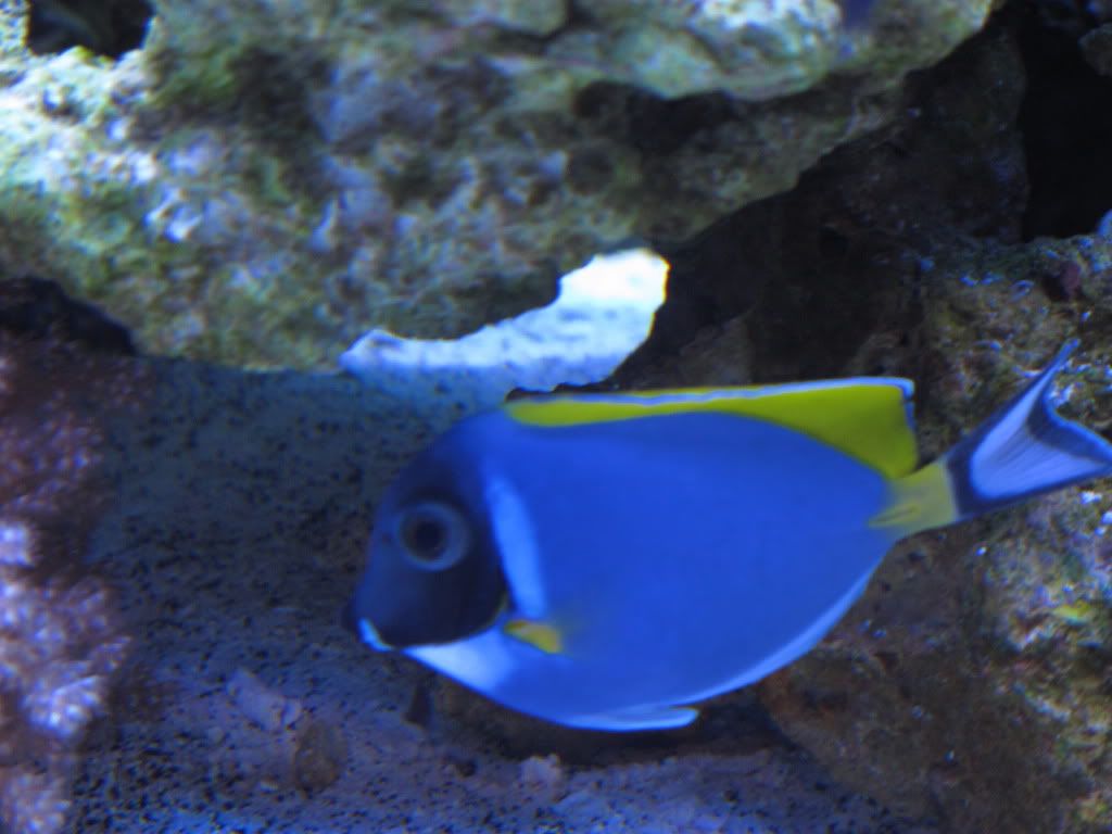 IMG_1500.jpg