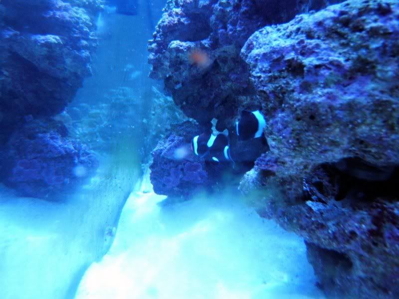 DSCF1103.jpg