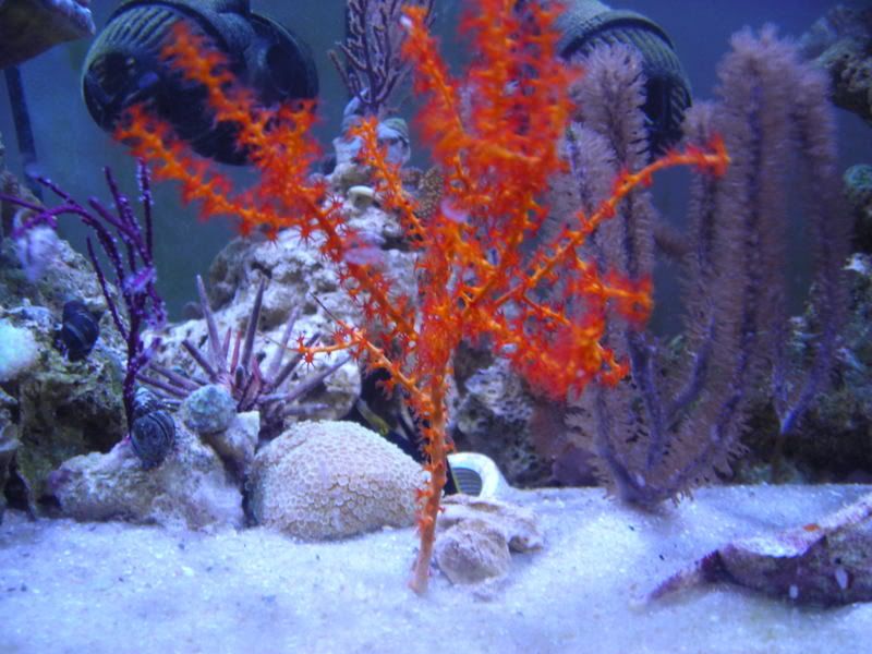 DSCN1866.jpg
