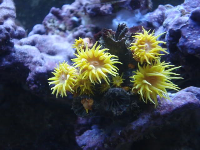 DSC03404.jpg