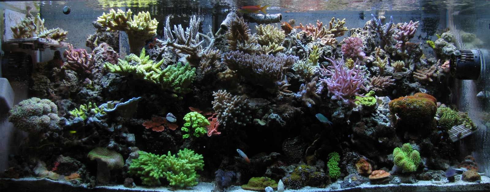 2-2-08.jpg