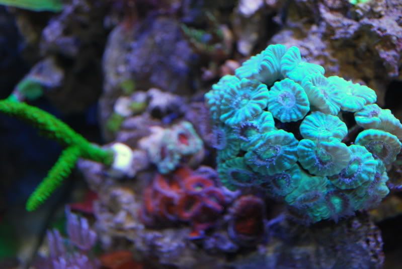 DSC_2209.jpg
