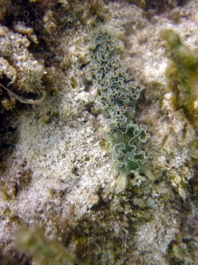 IMG_0310.jpg