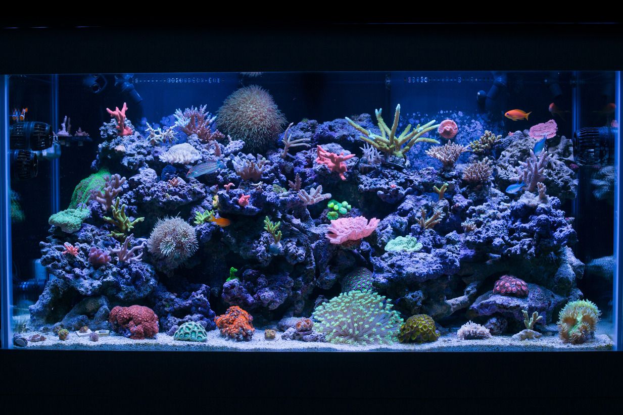 10-26-2012-44.jpg