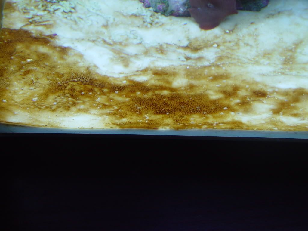 DSC01359.jpg
