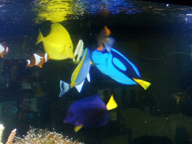 P1010084.jpg