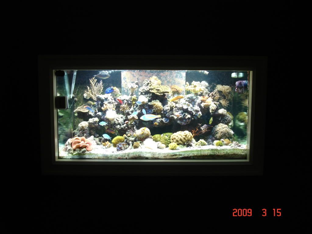 DSC02957.jpg