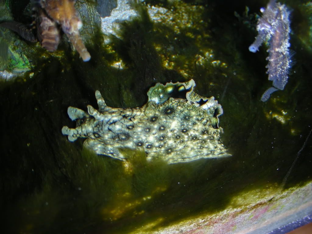 DSCN1662.jpg