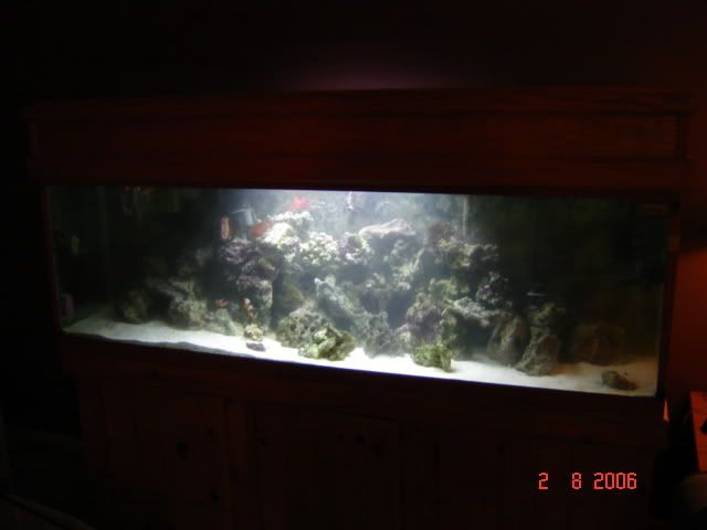 DSC00868.jpg