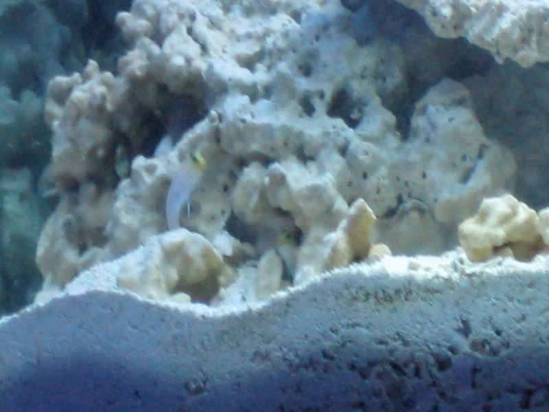 IMG_0084.jpg