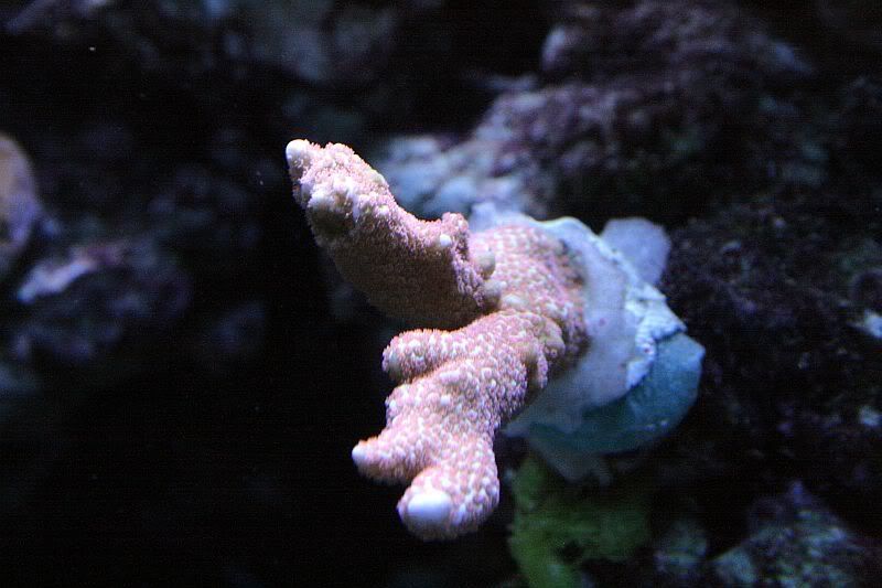 IMG_2699.jpg