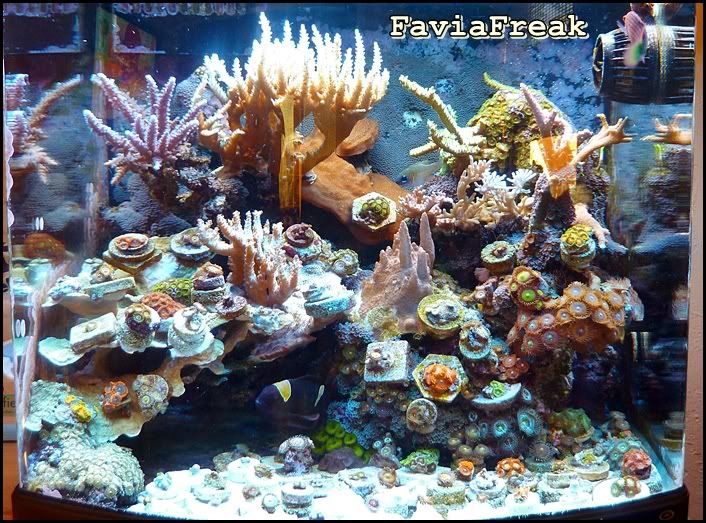 fts3.jpg