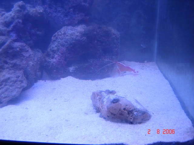 DSC00834.jpg