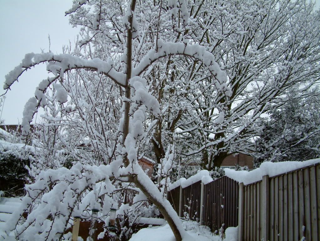 DSCF0010.jpg