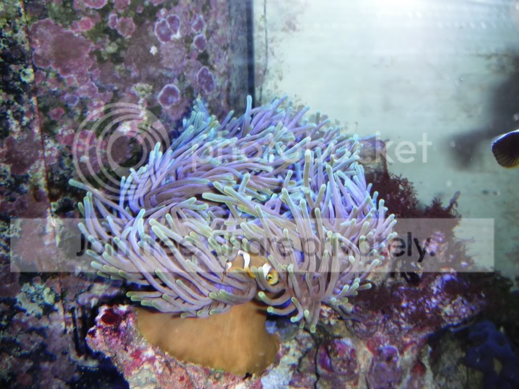 DSCF0370.jpg