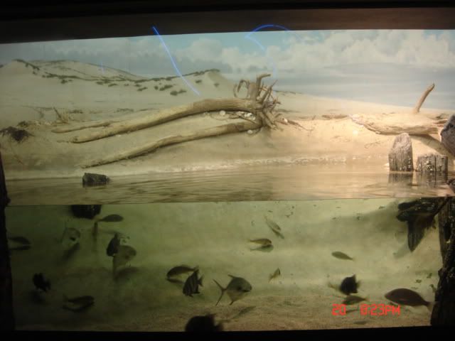 DSC01340.jpg
