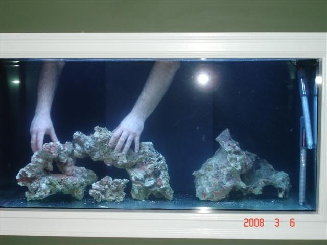 DSC01580Small.jpg