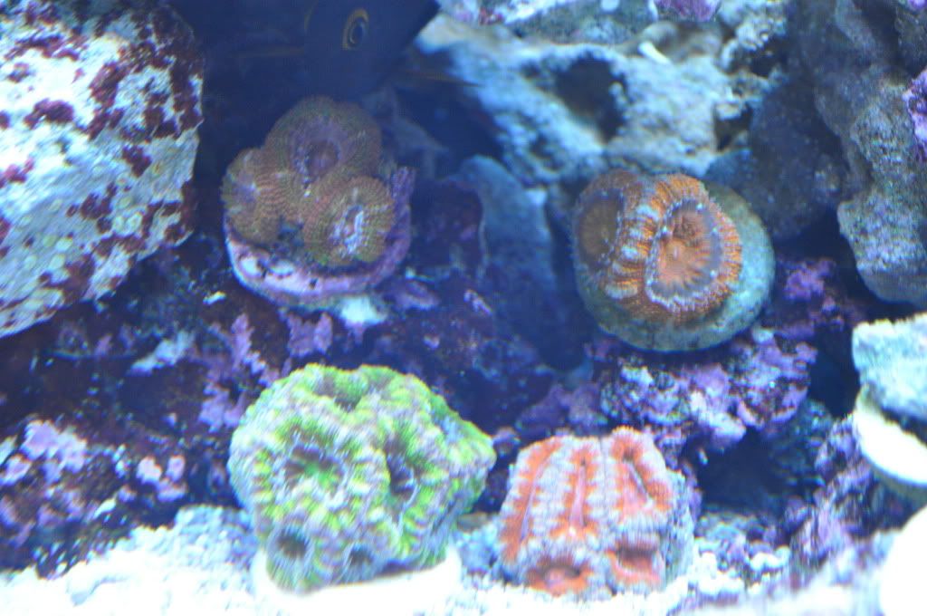 DSC_0665.jpg