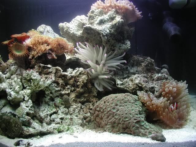 640x4801.jpg