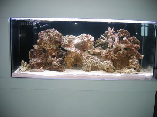 aquascaped.jpg