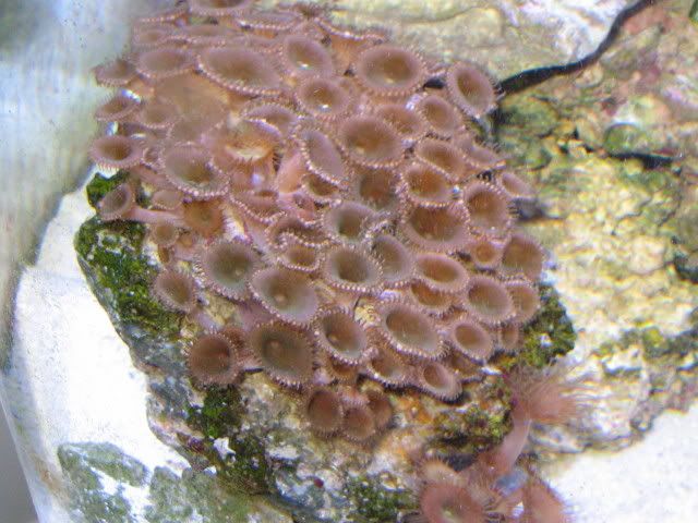 IMG_1380.jpg