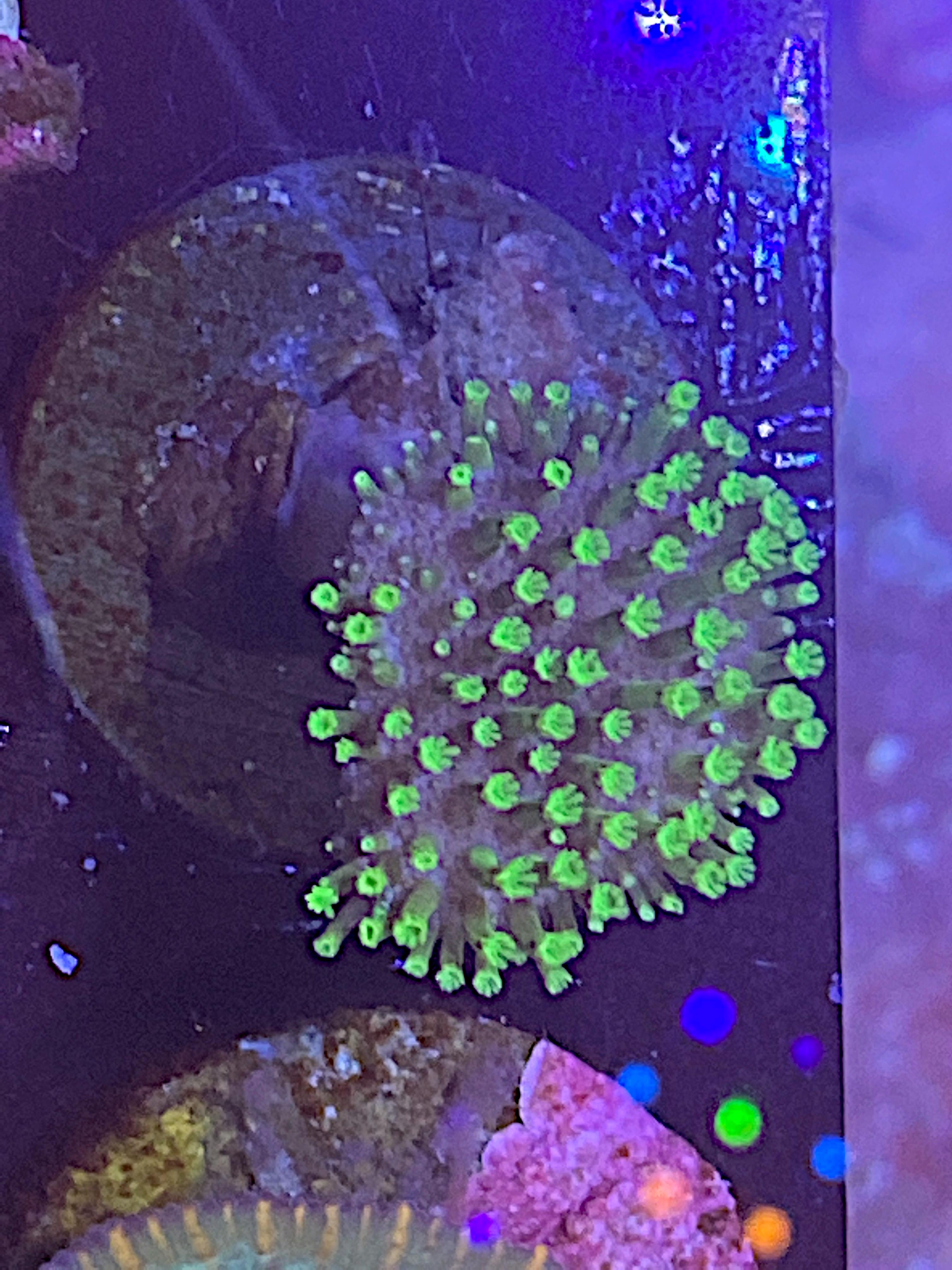 b820e9c7f1757b5808affa0903a90f63.plist