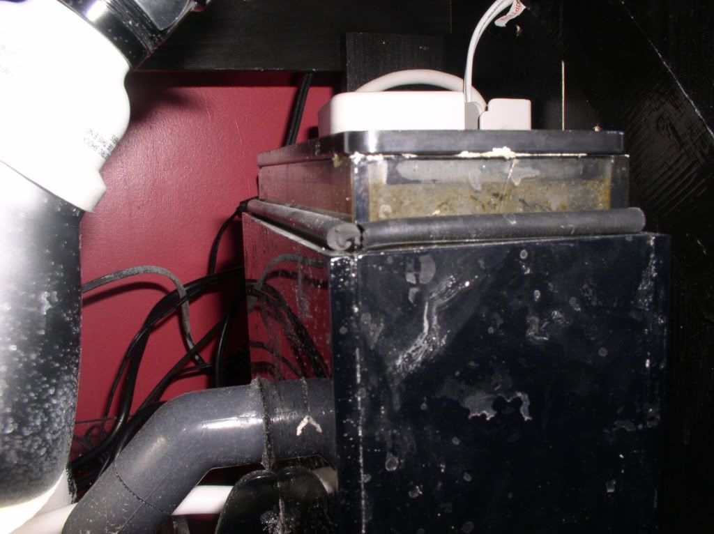 20100313_0681.jpg