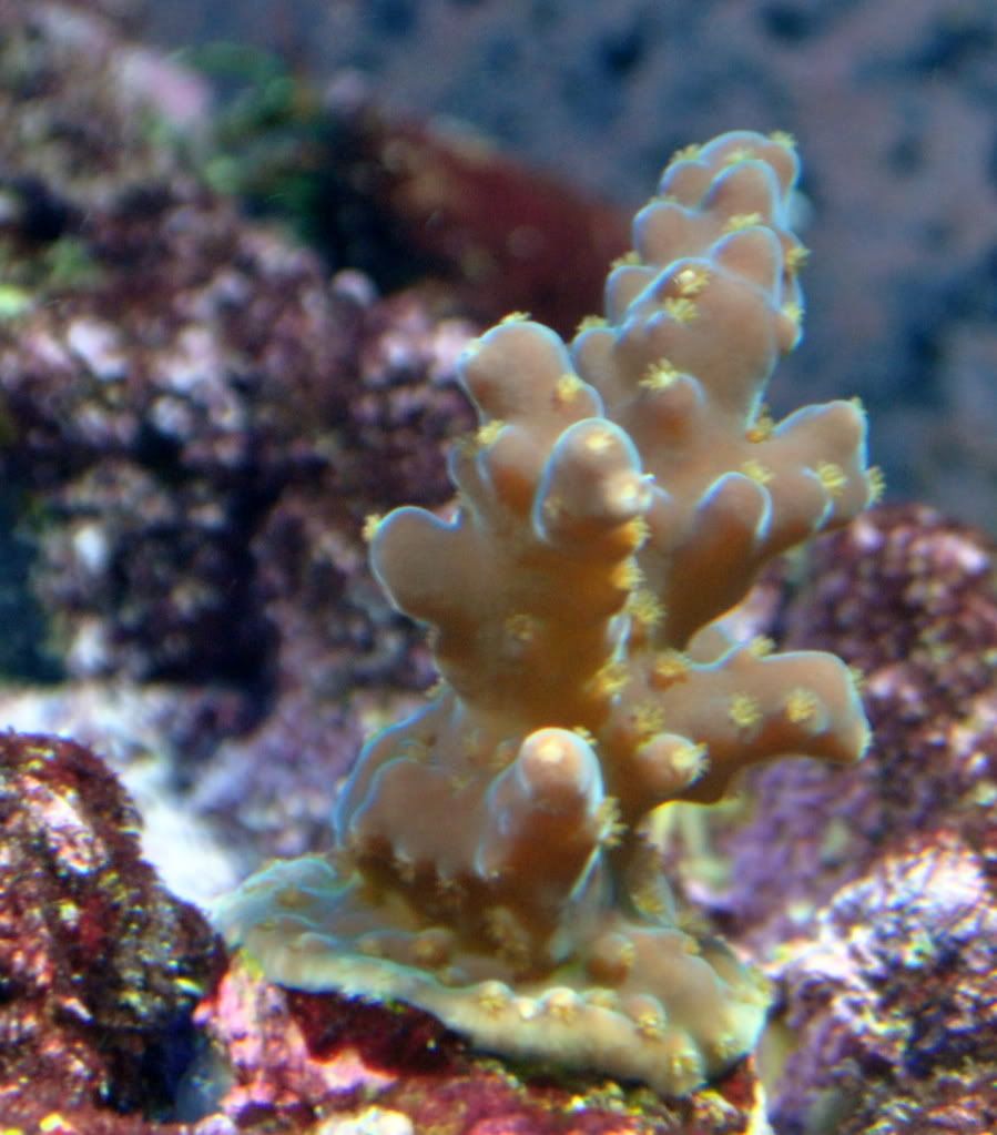 DSC_0350.jpg